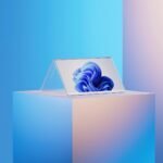 271038471 137894035336076 3917303691664321088 n