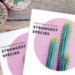 SEO Indesign flyer P1 820x440.jpg.img