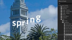 SEO AfterEffects PresetsMeanPrepared 416x208jpgimg Custom 20