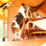 Filmora 1080x1080 Easy to Use Video Editing 05189 Custom